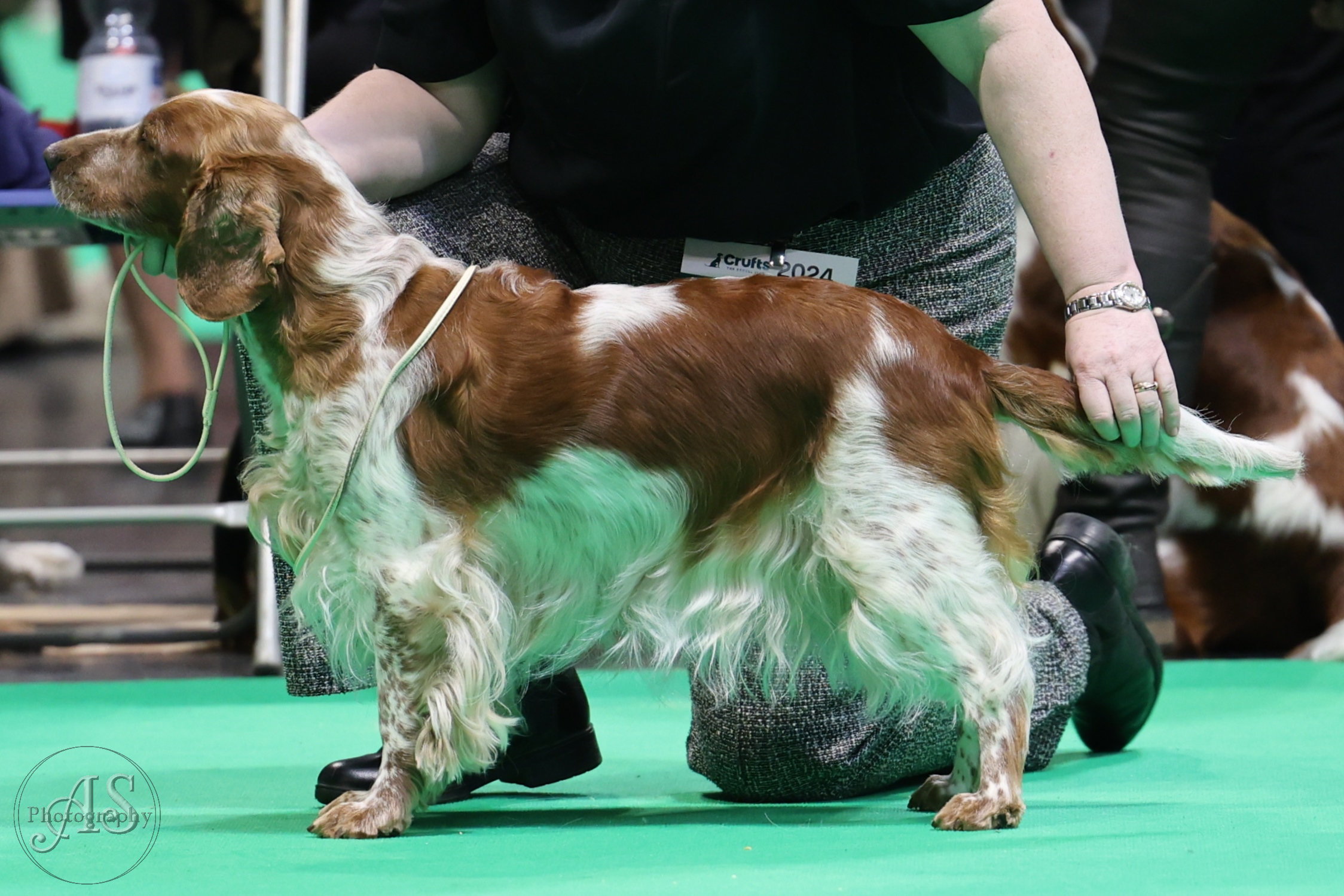 Gina Crufts 2024
